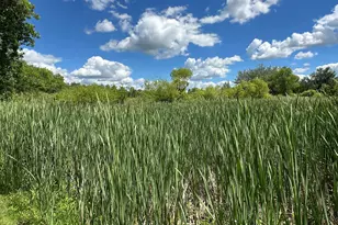 20709 Edgewater Rd, Richmond, MN 56368 - Photo 27