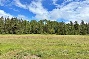 18704 370th St, Menahga, MN 56464 - Photo 33