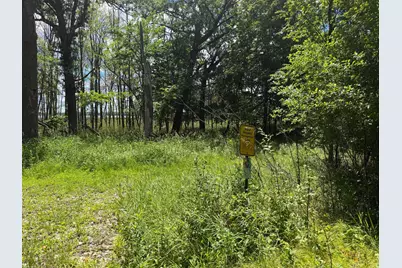 Tbd Lindo Trail, Lindstrom, MN 55045 - Photo 45
