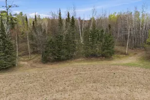 12502 Van Horn Rd, Floodwood, MN 55736 - Photo 41