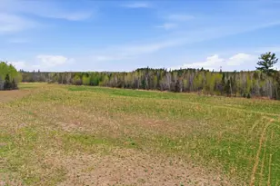12502 Van Horn Rd, Floodwood, MN 55736 - Photo 43