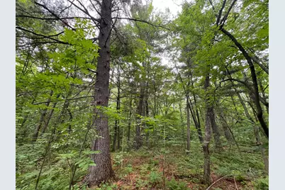 Lot 2 Wilderness Retreat, Pine City, MN 55063 - Photo 5