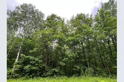 Lot 2 Wilderness Retreat, Pine City, MN 55063 - Photo 7