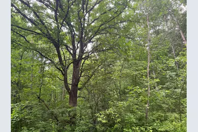Lot 5 Wilderness Retreat, Pine City, MN 55063 - Photo 3