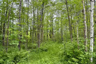 3799 Co Rd 132, Kettle River, MN 55757 - Photo 33