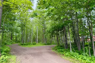 3799 Co Rd 132, Kettle River, MN 55757 - Photo 3
