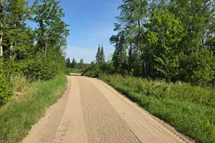 9374 Alango Rd, Angora, MN 55703 - Photo 53
