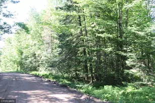 Tbd Sawmill Rd, Kerrick, MN 55756 - Photo 1