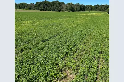 Tbd Old Cty Rd B, Woodville, WI 54028 - Photo 9
