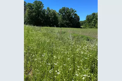 Tbd Old Cty Rd B, Woodville, WI 54028 - Photo 11