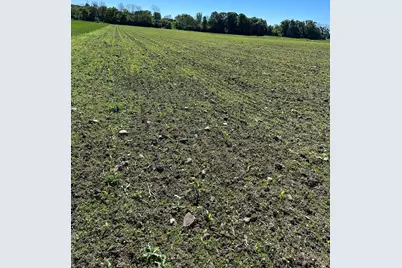 Tbd Old Cty Rd B, Woodville, WI 54028 - Photo 13