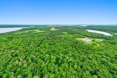 Tbd Pierson Drive, Pequot Lakes, MN 56472 - Photo 11
