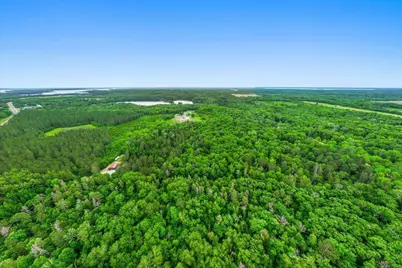 Tbd Pierson Drive, Pequot Lakes, MN 56472 - Photo 13