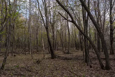 Tbd-58Ac 465th Street, Harris, MN 55032 - Photo 41