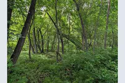 Tbd 477th Avenue, New York Mills, MN 56567 - Photo 5
