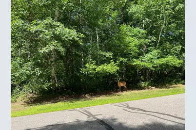 Lot 2 Birch Lane, Brainerd, MN 56401 - Photo 9