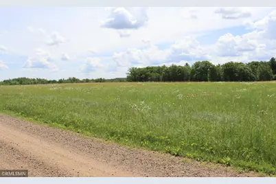 Tbd Parcel A Fore Road, Brook Park, MN 55007 - Photo 3