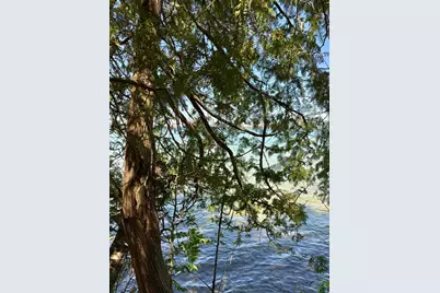 29156 County 37, Laporte, MN 56461 - Photo 103