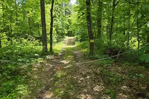 Tbd Fs2564D, Remer, MN 56672 - Photo 1
