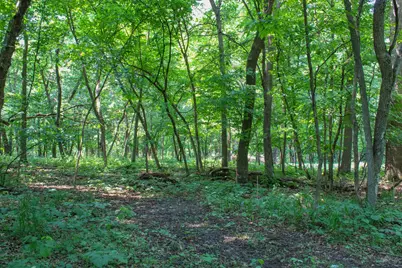 0000 Fourth Avenue E, South Haven, MN 55382 - Photo 5
