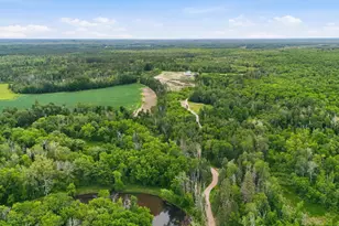 57293 270th Ave, Palisade, MN 56469 - Photo 49