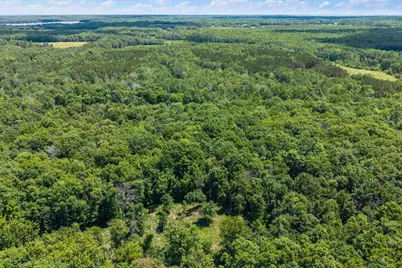 Tract A Maghan Road, Deerwood, MN 56444 - Photo 9