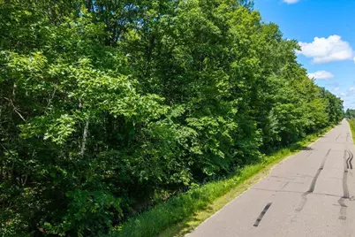 Tract B Maghan Road, Deerwood, MN 56444 - Photo 5