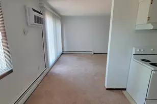 417 S Wasson Ln, River Falls, WI 54022 - Photo 11