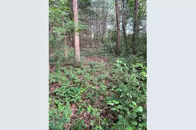 11914 165th Avenue SE, Becker, MN 55308 - Photo 23