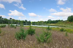 3990 Forest Ct, Saint Bonifacius, MN 55375 - Photo 9