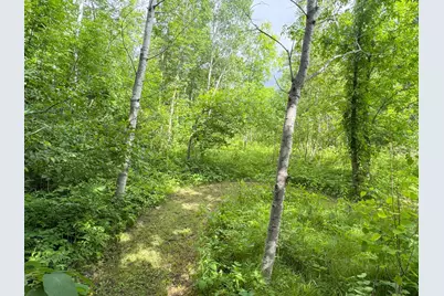 49505 229th Avenue, Bemidji, MN 56601 - Photo 49