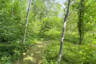 49505 229th Ave, Bemidji, MN 56601 - Photo 49