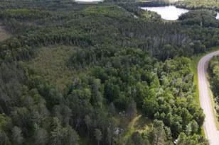 29015 Co Rd 45, Bigfork, MN 56628 - Photo 15