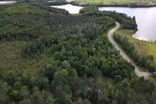 29015 Co Rd 45, Bigfork, MN 56628 - Photo 13