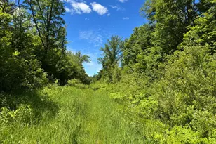 Tbd 300th Ln, McGregor, MN 55760 - Photo 1