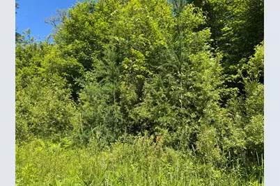Tbd 300th Lane, McGregor, MN 55760 - Photo 7