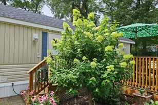 31938 18th Ave, Cushing, MN 56443 - Photo 21