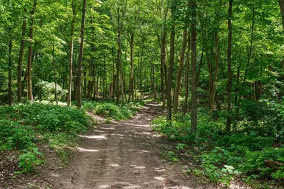 1732 Wilderness Hills, Luck, WI 54853 - Photo 41