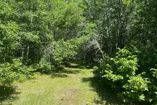 12997 E Mail Rd, Gordon, WI 54838 - Photo 45
