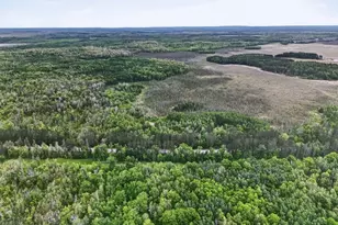 9540 State 200 NE, Remer, MN 56672 - Photo 33