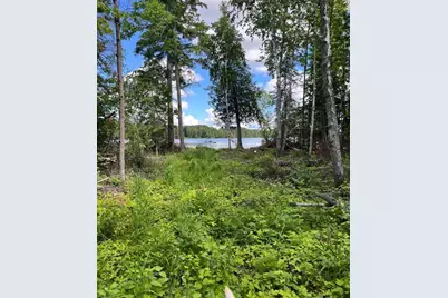 Parcel B County Road 35, Deer River, MN 56636 - Photo 21