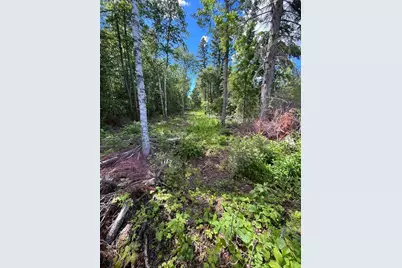 Parcel B County Road 35, Deer River, MN 56636 - Photo 33
