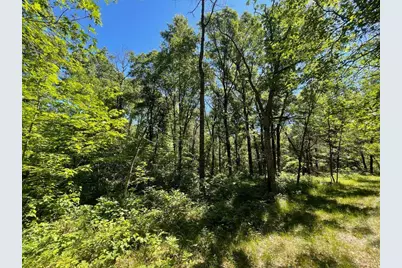 Tbd E Mail, Gordon, WI 54838 - Photo 11