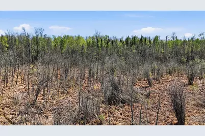 Tbd Tbd Cedar Point Road, Marcell, MN 56657 - Photo 15