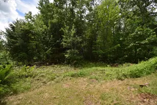4411 Lunsman Dr, Danbury, WI 54830 - Photo 35