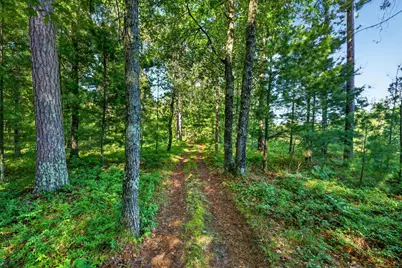 3307 State Road 77, Danbury, WI 54830 - Photo 47