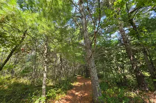 3307 State Road 77, Danbury, WI 54830 - Photo 55