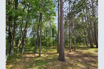 3307 State Road 77, Danbury, WI 54830 - Photo 47