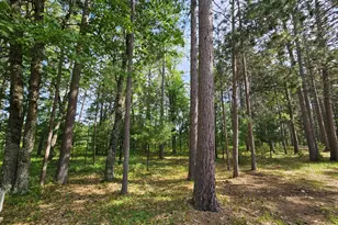 3307 State Road 77, Danbury, WI 54830 - Photo 47