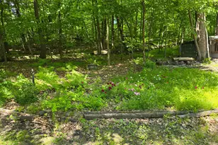 Tbd 280th Ave, Detroit Lakes, MN 56501 - Photo 1
